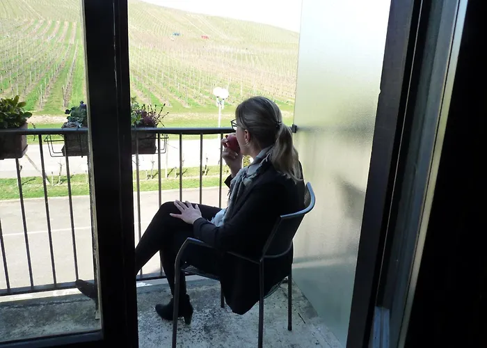 Hôtel accueillant les animaux: Hôtel Le Riquewihr